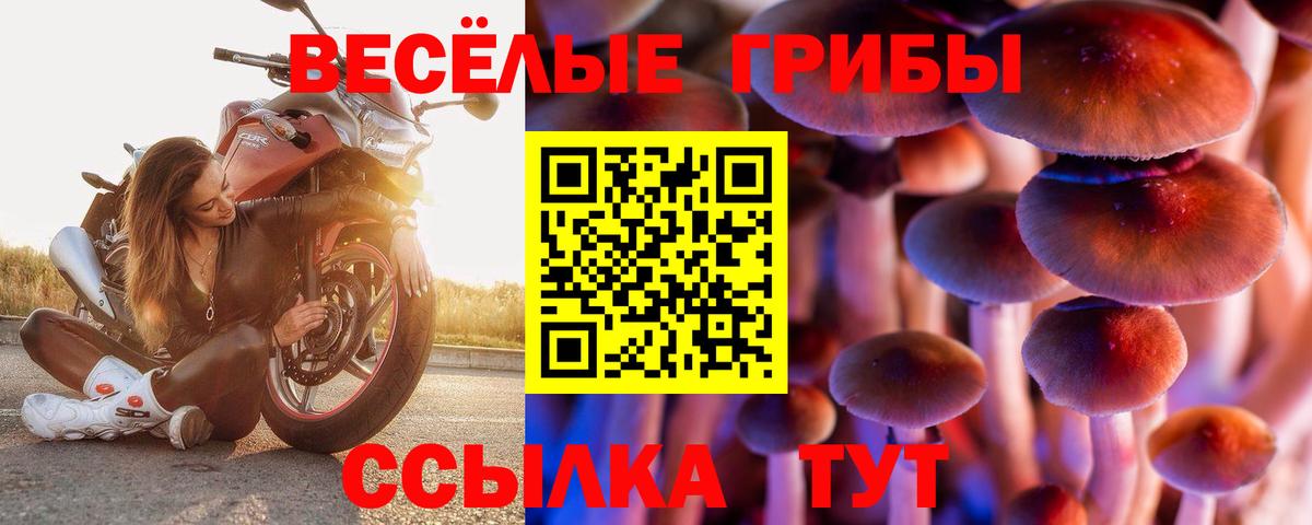 Галлюциногенные грибы Cubensis  Псилоцибиновые грибы Psilocybe  Вход с VPN  Химки 